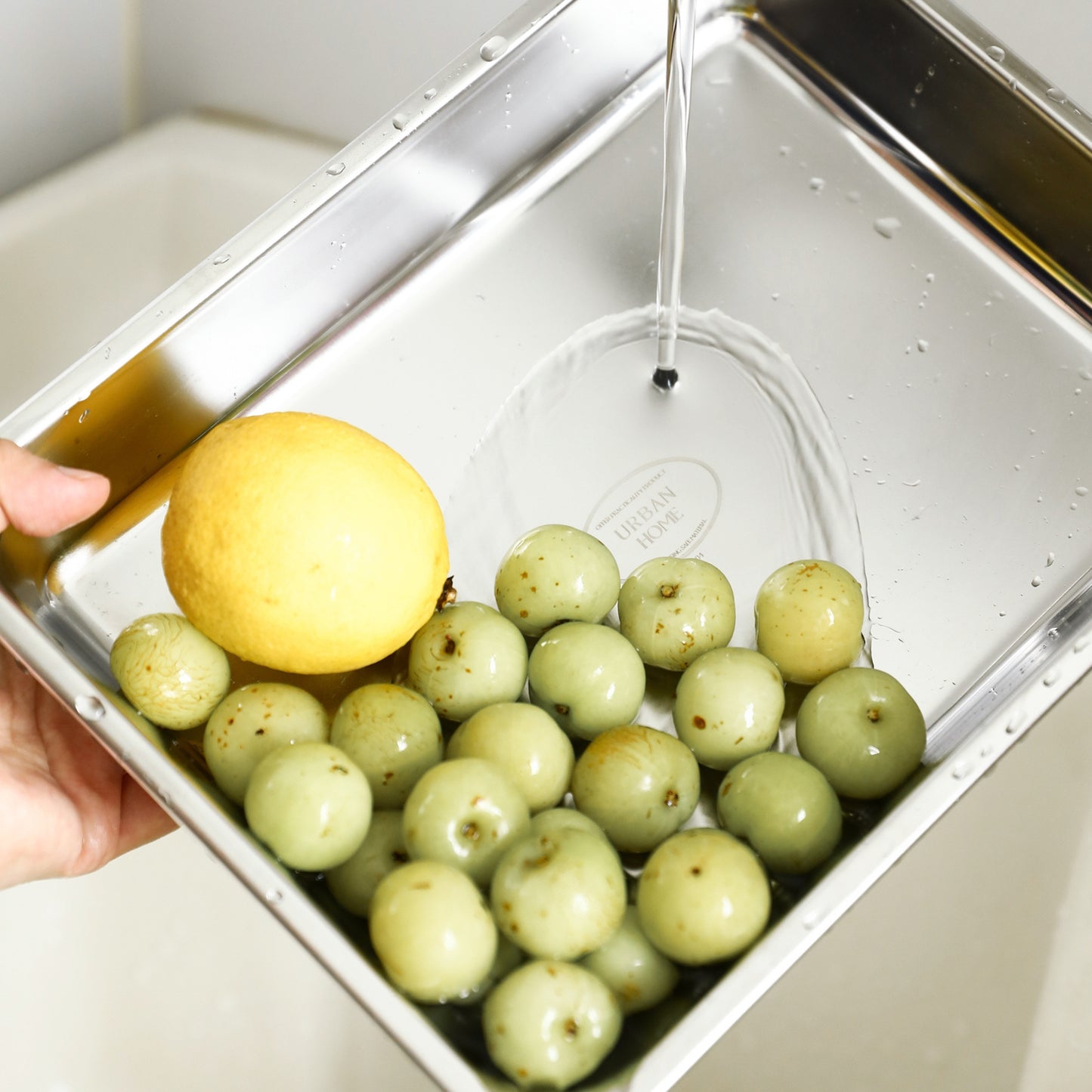 Food Tray Multi-Purpose