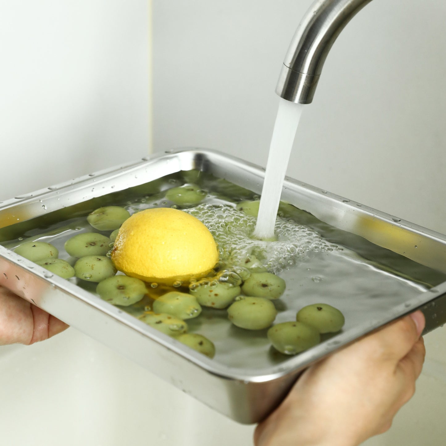 Food Tray Multi-Purpose