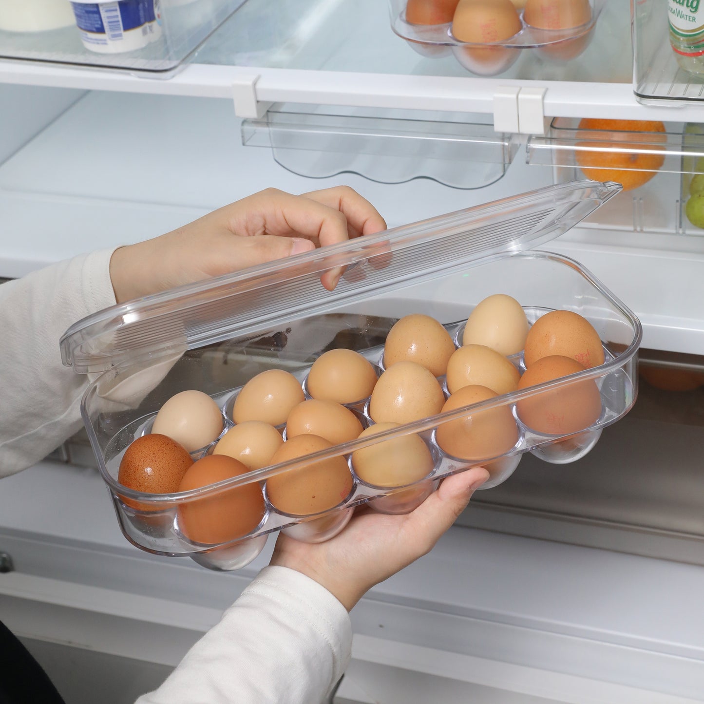 Egg Storage Box Refrigerator